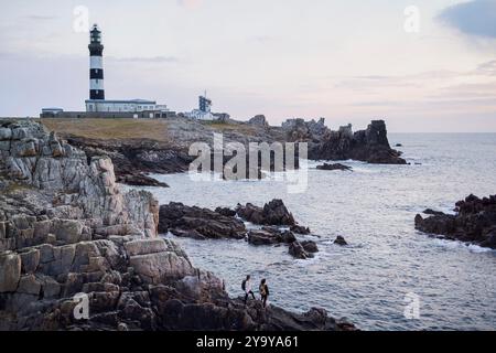 France, Finistère, île d'Ouessant, promenade sur l'île près du phare du Creac'h. Banque D'Images