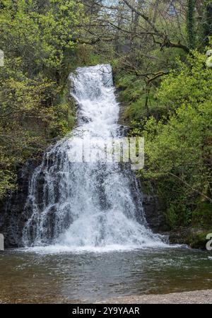 France, Tarn, village de Saint-Michel-de-Léon, la cascade du saut de la truite Banque D'Images