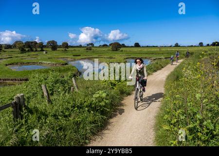 France, Vendée (85), Talmont Saint Hilaire, marais de Guittière dans l’arrière-pays de la pointe du Payré, cycliste sur la piste cyclable Vendée vélo Tour et Vélodyssée et le passage du Cul d’Ane, marais aménagés pour la pisciculture de dorades, de roulets et d’anguilles Banque D'Images