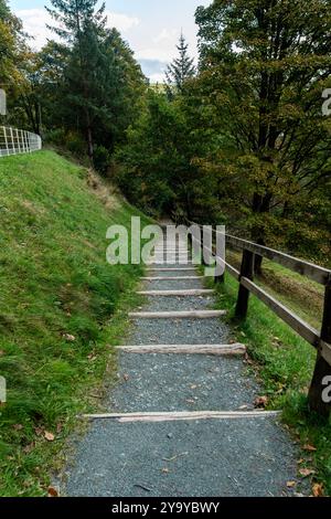 Escaliers en bois menant à un chemin à travers une forêt verdoyante en été Banque D'Images