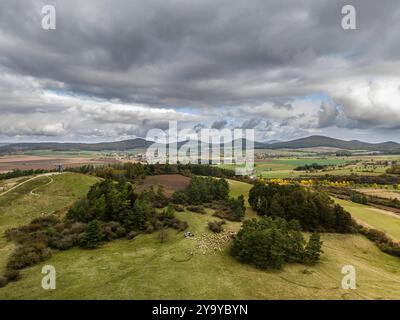 PRODUCTION - 11 octobre 2024, Hesse, Hünfeld : le troupeau paît sur un pré devant le panorama caractéristique de Rhön. Environ 500 moutons, 25 chèvres et 2 ânes paissent dans la réserve naturelle de la Hünfelder Weinberg (Rhön). L'élevage ovin 'Schäferei mit Herz' géré par la famille des espions de Leimbach (Hesse orientale/ville marchande d'Eiterfeld) utilise deux ânes comme animaux de protection du troupeau pour protéger le troupeau. Photo : Andreas Arnold/dpa Banque D'Images