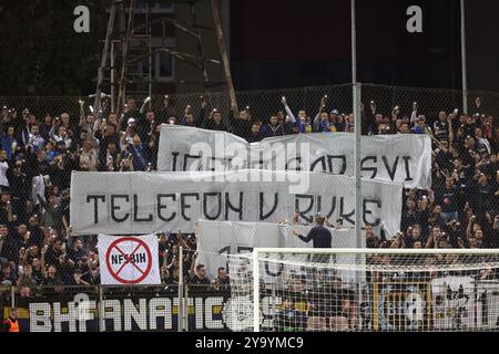 Zenica, Bosnie-Herzégovine . 11 octobre 2024. Les fans encouragent les gradins lors de la phase de l'UEFA Nations League, match de la troisième journée entre la Bosnie-Herzégovine et l'Allemagne au Stadion Bilino Polje à Zenica, Bosnie-Herzégovine, le 11 octobre 2024. Photo : Armin Durgut/PIXSELL crédit : Pixsell/Alamy Live News Banque D'Images