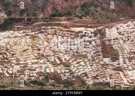 Vallée sacrée, Cusco, Pérou. Marais salants en terrasses également connus sous le nom de ' Salinas de Maras', dans les Andes Banque D'Images