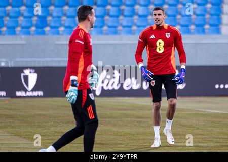 Reykjavik, Islande. 11 octobre 2024. Le gardien du pays de Galles Karl Darlow pendant l'échauffement. Islande v pays de Galles dans la Ligue des Nations de l'UEFA au stade Laugardalsvöllur le 11 octobre 2024. Crédit : Lewis Mitchell/Alamy Live News Banque D'Images