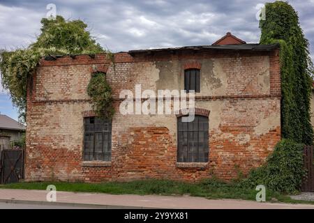 Ancien bâtiment en briques abandonné couvert de lierre vert avec des fenêtres cassées par un jour nuageux. Concept de décadence urbaine et architecture envahie Banque D'Images