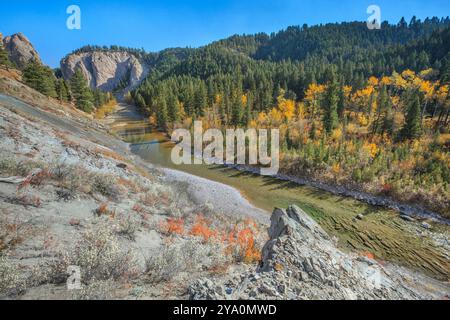 couleurs d'automne et falaise le long de la rivière dearborn près d'augusta, montana Banque D'Images