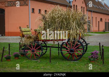 Chariot vintage décoratif rempli de maïs séché et de récoltes d'automne, debout devant une grange rustique. Concept de récolte d'automne et décoration rurale Banque D'Images