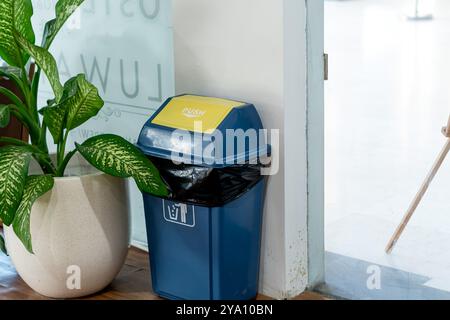 Une poubelle bleue avec un couvercle jaune, placée à côté d'une grande plante verte dans un cadre intérieur moderne. La poubelle a un sac poubelle noir à l'intérieur et est posit Banque D'Images