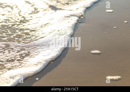 Les vagues douces touchent le rivage de sable pendant l'heure dorée, créant une atmosphère sereine. La lumière du soleil se reflète sur l'eau, améliorant la scène paisible. Banque D'Images