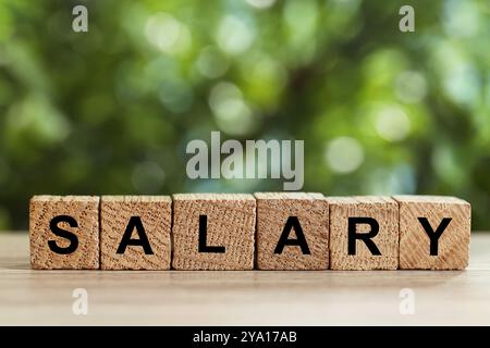 Word Salary fait de cubes sur une table en bois clair sur fond vert flou, gros plan. Espace pour le texte Banque D'Images