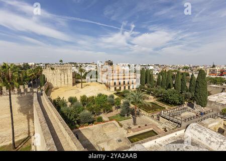 Vue d'en haut d'une ville avec des bâtiments historiques et un château sous un ciel bleu, Jerez Banque D'Images