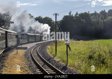 Locomotive à vapeur circulant le long d'une voie à côté de prairies vertes et d'arbres tandis que la fumée monte, Ruegen, Rasender Roland Banque D'Images