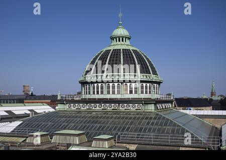 Dôme du NY Carlsberg Glyptotek ou New Carlsberg Glyptothek, musée d'art pour la sculpture et la peinture, architectes Vilhelm Dahlerup et Hack Kampmann, Banque D'Images