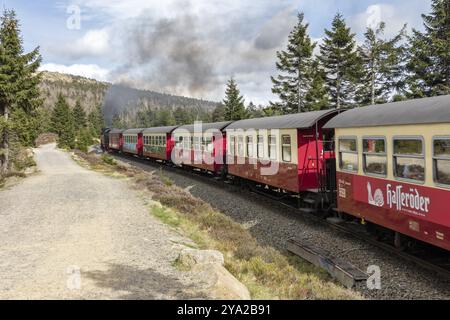 Train rouge sur rails dans un paysage boisé, Smoke Rising, Harz Mountains, Brocken, basse-Saxe Banque D'Images