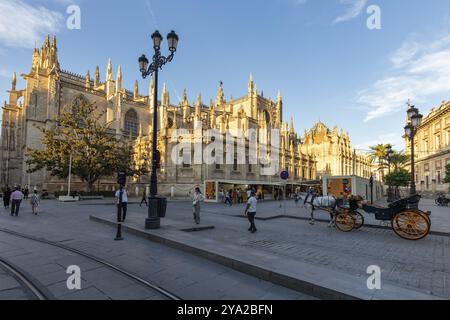 Cathédrale gothique à la lumière du soleil avec des gens et une calèche tirée par des chevaux au premier plan, Séville Banque D'Images