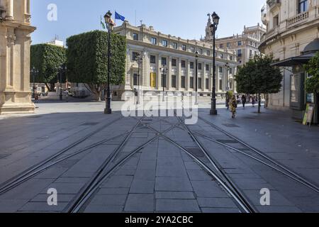 Rues vides avec des voies de tramway et des bâtiments historiques, bordés de grands arbres, Séville Banque D'Images