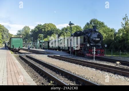 Train historique avec locomotive à vapeur à la gare, entouré d'arbres et ciel dégagé, Ruegen, Rasender Roland Banque D'Images