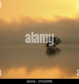 Lever de soleil à l'Edersee avec brume matinale sur l'eau, petite île dans le barrage d'Eder, Ederstausee, Hesse, Allemagne, Europe Banque D'Images