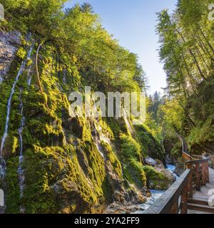 Un chemin de planches baigné de soleil à côté d'un rocher couvert de mousse avec une cascade en arrière-plan, la gorge de Wimbachklamm Banque D'Images