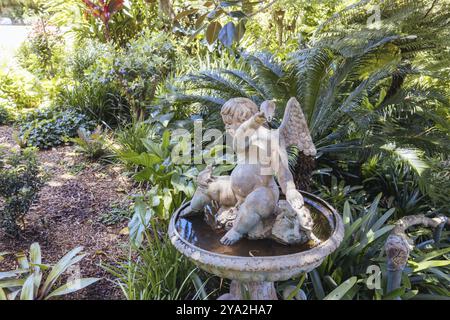 Wendy Whiteley's secret Garden par une chaude matinée d'été à Lavender Bay, Sydney, Nouvelle-Galles du Sud, Australie, Océanie Banque D'Images