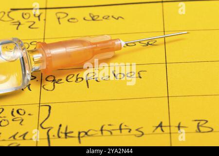 Seringue avec vaccin sur certificat de vaccination international Banque D'Images