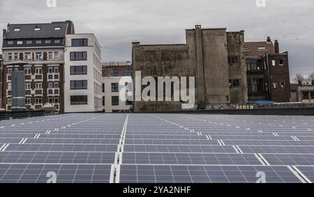 Anderlecht, région de Bruxelles-capitale, Belgique, 12 07 2019 vue sur les toits, les panneaux solaires et le marché des abattoirs prise depuis le Foodmet Urban Far Banque D'Images