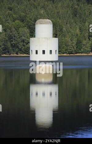 Vue sur le réservoir d'eau potable de Frauenau dans la forêt bavaroise Banque D'Images