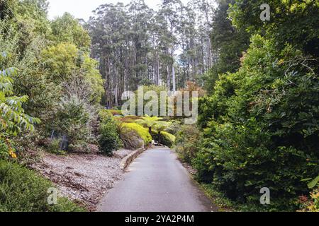 Fin d'après-midi d'automne au jardin botanique de Dandenong Ranges à Olinda, Victoria, Australie Banque D'Images