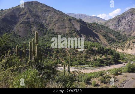 Cajon del Maipo est un canyon situé dans la partie sud-est andine de la région métropolitaine de Santiago, au Chili. Il englobe la rive supérieure de Maipo Banque D'Images