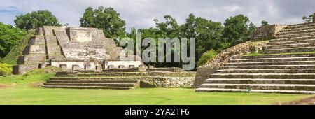 Belize, Amérique centrale, Temple Altun Ha. Bannière Web en vue panoramique, Amérique centrale Banque D'Images