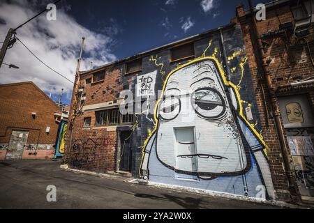 GEELONG, AUSTRALIE, JANVIER 26 2024 : les ruelles et les œuvres d'art autour de Minns Lane près de Little Malop St par un chaud matin d'été à Geelong, Victoria, Banque D'Images