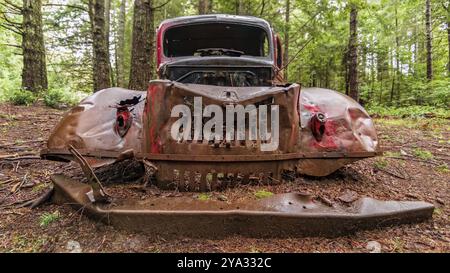 Un véhicule antique abandonné rouille dans une forêt du nord de la Californie Banque D'Images