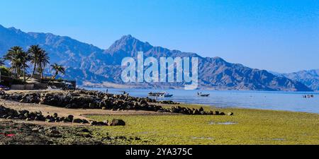 Égypte -- Sinaï Sud - Dahab - mer Rouge - Assala Beach Banque D'Images