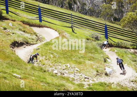 THREDBO, AUSTRALIE, 15 DÉCEMBRE 2023 : les VTT descendent Thredbo par une chaude journée d'été dans les Snowy Mountains, Nouvelle-Galles du Sud, Australie, Banque D'Images