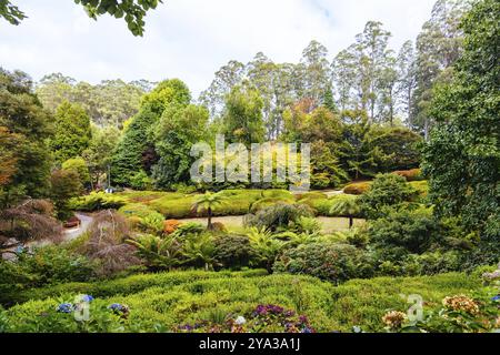 Fin d'après-midi d'automne au jardin botanique de Dandenong Ranges à Olinda, Victoria, Australie Banque D'Images