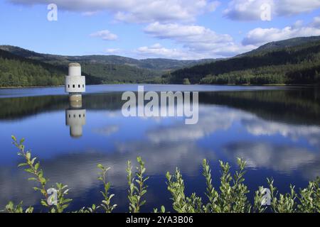 Vue sur le réservoir d'eau potable de Frauenau dans la forêt bavaroise Banque D'Images