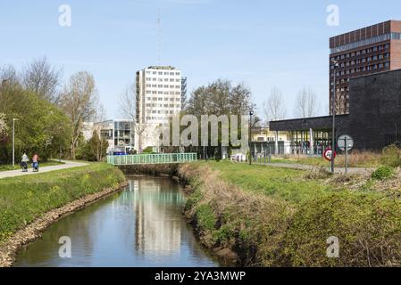 Hasselt, Limbourg, Belgique, 04 12 2022, environnement verdoyant et crique dans le parc de Kapermolen, un parc de banlieue, Europe Banque D'Images