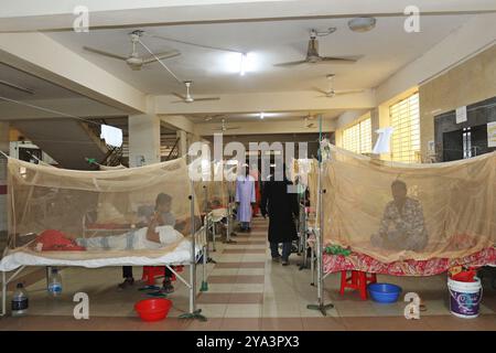 Dhaka, Bangladesh. 10 octobre 2024. Les patients reçoivent un traitement médical car ils souffrent de dengue dans un hôpital de Dhaka, au Bangladesh, le 11 octobre 2024. Photo Habibur Rahman/ABACAPRESS. COM Credit : Abaca Press/Alamy Live News Banque D'Images