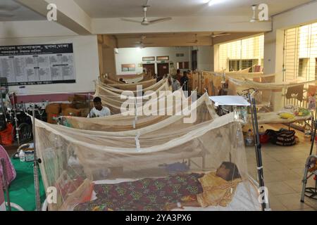 Dhaka, Bangladesh. 10 octobre 2024. Les patients reçoivent un traitement médical car ils souffrent de dengue dans un hôpital de Dhaka, au Bangladesh, le 11 octobre 2024. Photo Habibur Rahman/ABACAPRESS. COM Credit : Abaca Press/Alamy Live News Banque D'Images