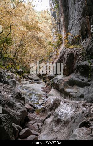 Grottes de Zugarramurdi. Navarre. Espagne Banque D'Images