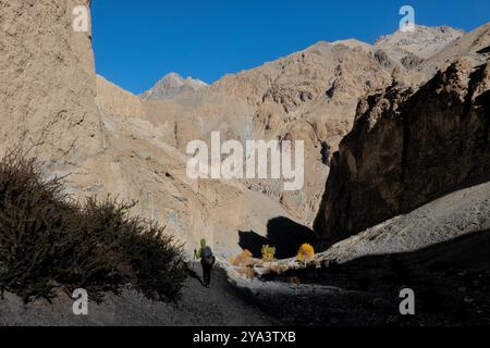 Navigation sur le trek perfide Shimshal Pass, Shimshal, Gojal, Pakistan Banque D'Images