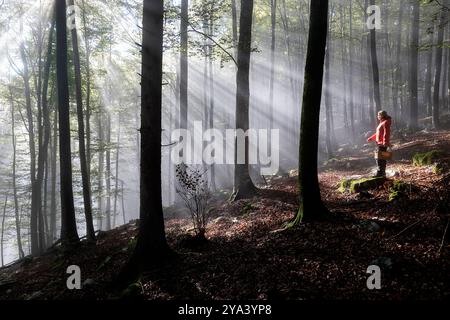 Femme locale avec un panier tissé dans sa main ramassant des champignons dans la forêt primitive idyllique dans la région de dolenjska, rayons du soleil du matin, slovénie Banque D'Images