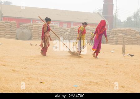 Ashuganj, Brahmanbaria, 26 janvier 2023, les travailleurs travaillant dans un petit moulin à riz, le riz traditionnel traite le séchage des grains de paddy au soleil du Bangladesh. Banque D'Images