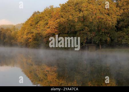 Nach einer Kalten Nacht liegt am Morgen Dunst ueber über dem Rabensteins Weiher à Siegen. Die Baeume Bäume spiegeln sich im Wasser und sind teilweise Herbstlich verfaerbt verfärbt. Herbst im Siegerland AM 12.10.2024 à Siegen/Deutschland. *** Après une nuit froide, la brume se trouve au-dessus du Rabensteins Weiher à Siegen le matin les arbres se reflètent dans l'eau et sont partiellement décolorés à l'automne à Siegerland le 12 10 2024 à Siegen Allemagne Banque D'Images