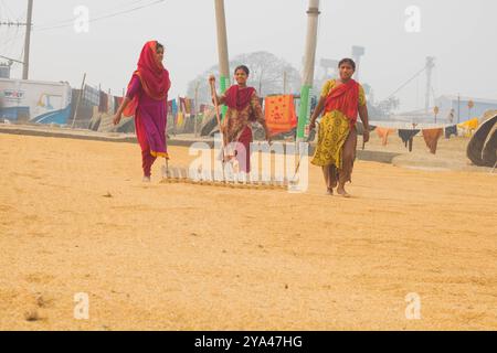 Ashuganj, Brahmanbaria, 26 janvier 2023, les travailleurs travaillant dans un petit moulin à riz, le riz traditionnel traite le séchage des grains de paddy au soleil du Bangladesh. Banque D'Images