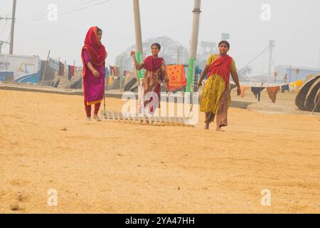 Ashuganj, Brahmanbaria, 26 janvier 2023, les travailleurs travaillant dans un petit moulin à riz, le riz traditionnel traite le séchage des grains de paddy au soleil du Bangladesh. Banque D'Images
