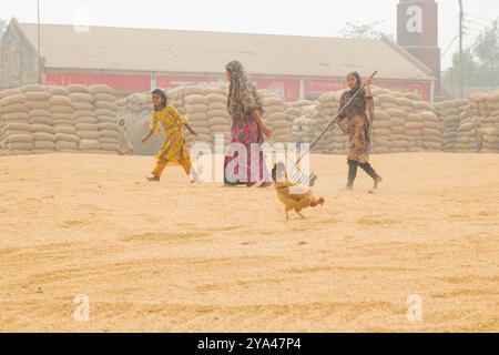 Ashuganj, Brahmanbaria, 26 janvier 2023, les travailleurs travaillant dans un petit moulin à riz, le riz traditionnel traite le séchage des grains de paddy au soleil du Bangladesh. Banque D'Images