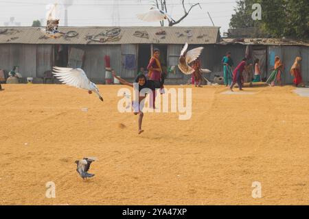 Ashuganj, Brahmanbaria, 26 janvier 2023, les travailleurs travaillant dans un petit moulin à riz, le riz traditionnel traite le séchage des grains de paddy au soleil du Bangladesh. Banque D'Images