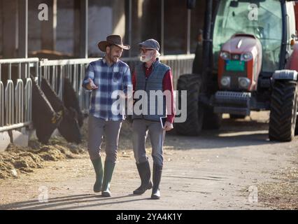 Deux fermiers souriants marchant et parlant devant l'étable et le tracteur sur le ranch de bétail Banque D'Images