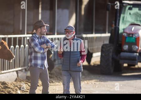 Deux fermiers souriants parlant devant l'étable et le tracteur sur le ranch de bétail Banque D'Images